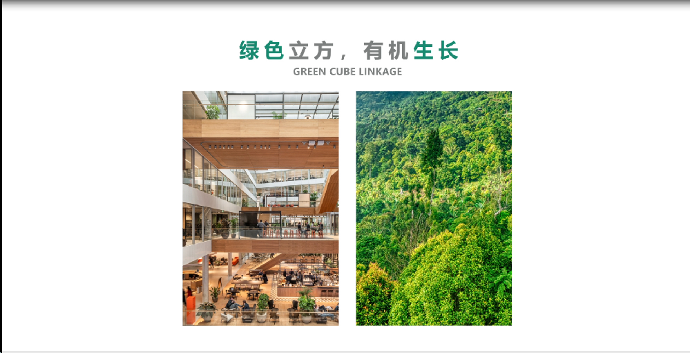 重庆两江协同区成品